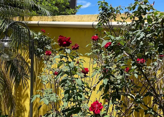 Casa Nas Montanhas - Colina Grega