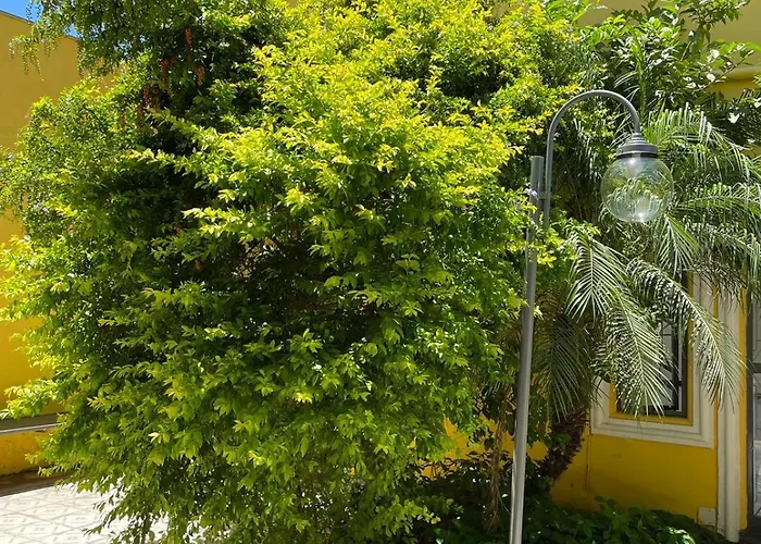 Casa Nas Montanhas - Colina Grega