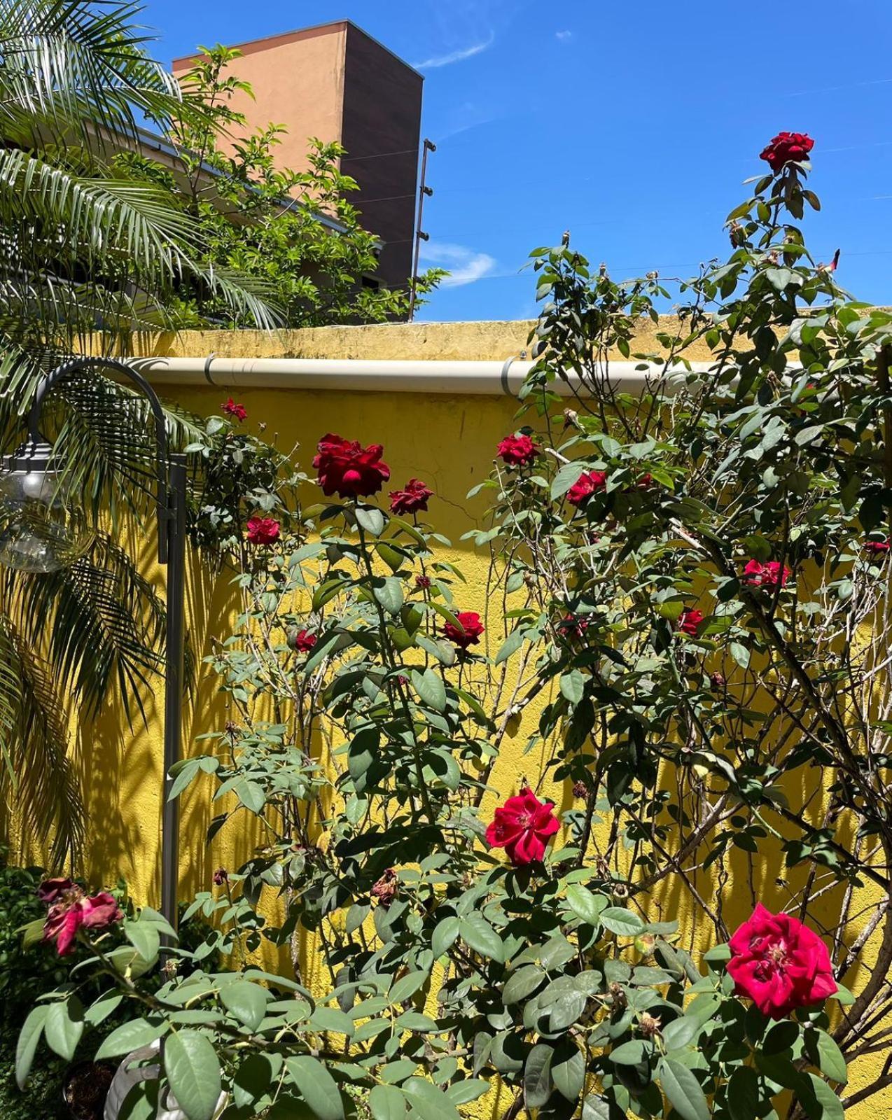 Casa Nas Montanhas - Colina Grega *