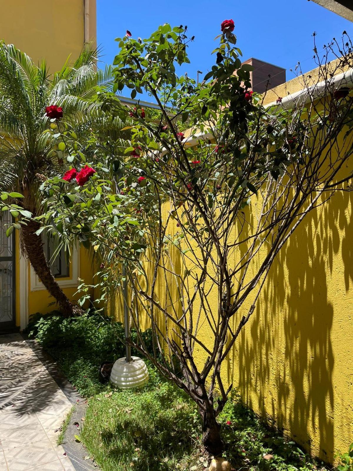 Casa Nas Montanhas - Colina Grega Holiday home